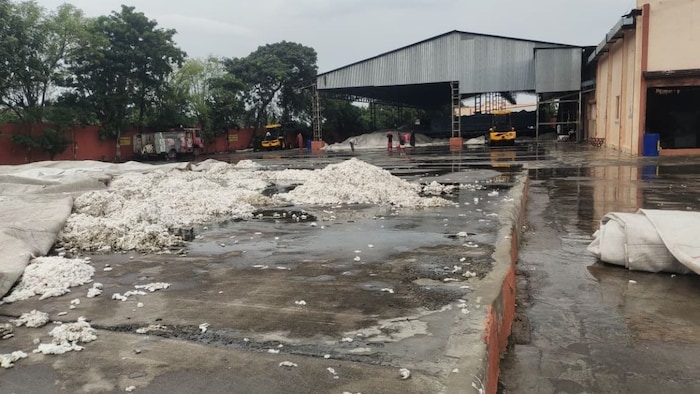 सैकड़ों क्विंटल कपास बहा