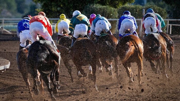 Horse racing