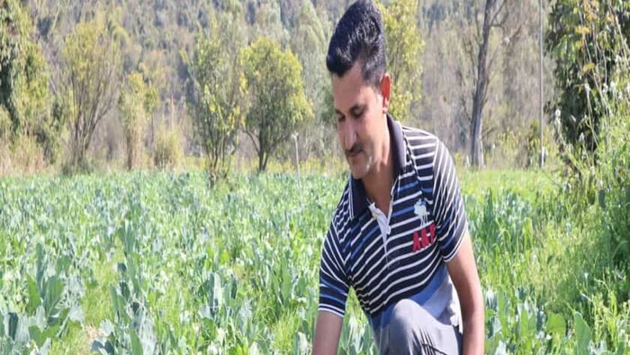 प्राकृतिक खेती से कर रहे अच्छी कमाई