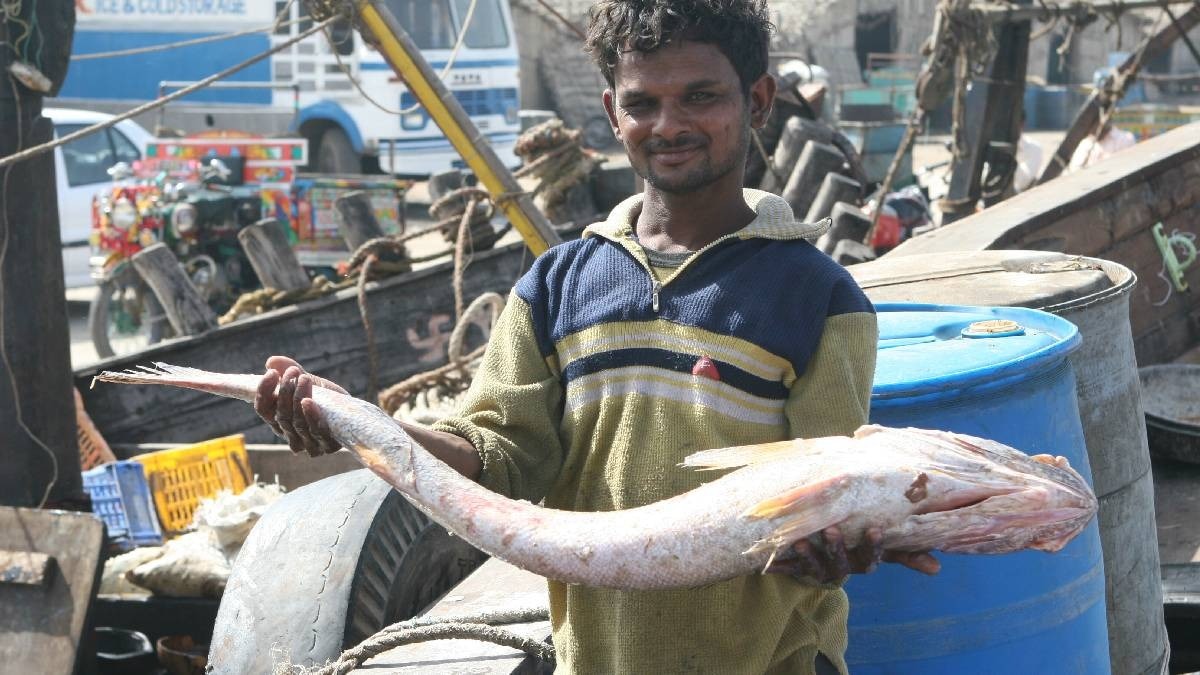 बिहार सरकार नाव और जाल के लिए दे रही सब्सिडी, इस तारीख तक करें आवेदन