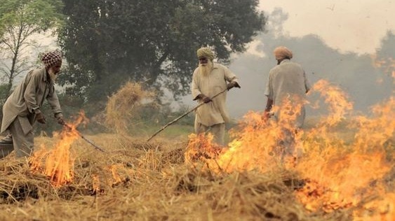 पंजाब में पराली जलाने पर बवाल
