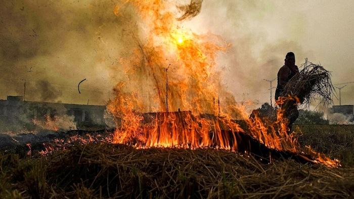 पराली जलाने पर सरकार का सख्त कदम
