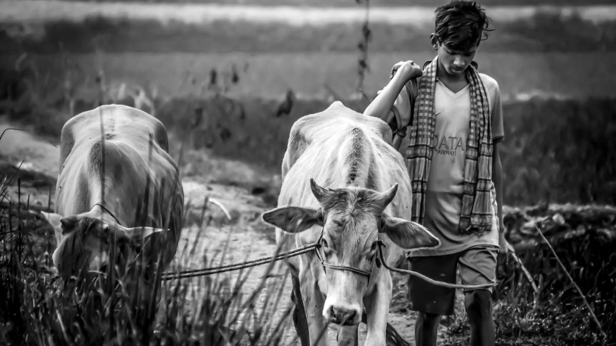 Marathwada Farmers 