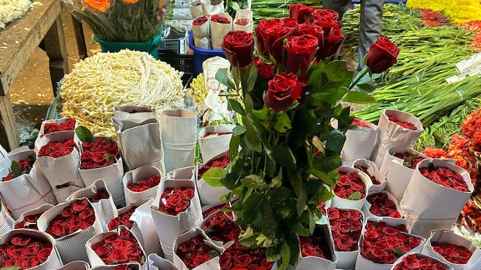 High demand of roses in Valentine's week