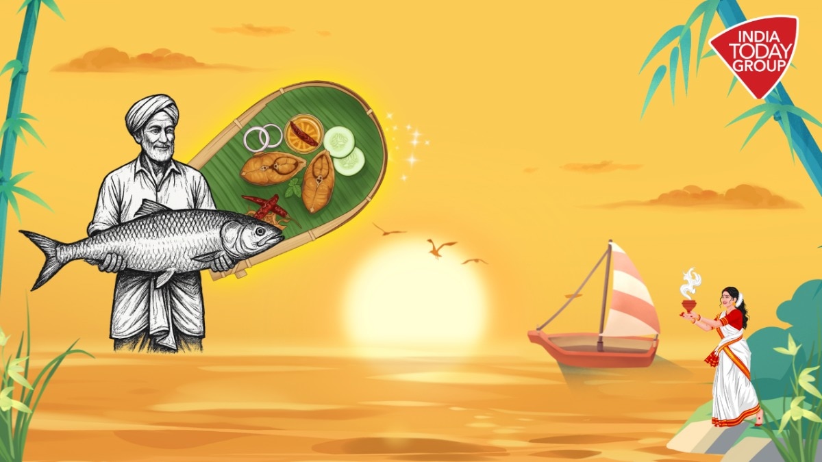 hilsa fish