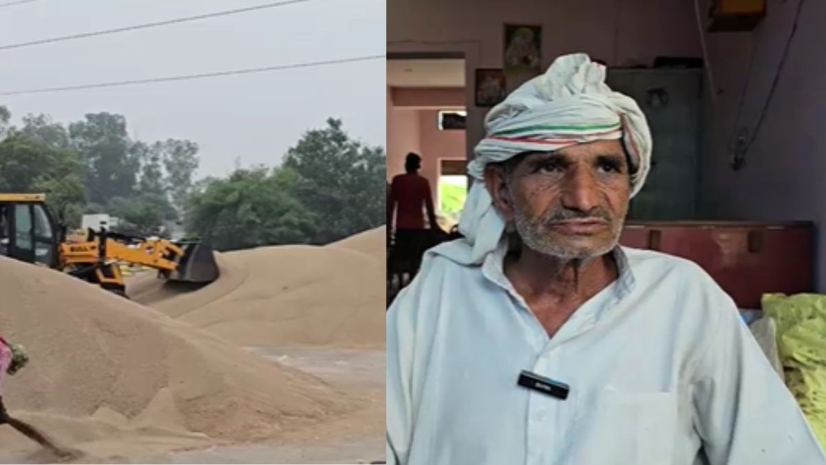 बाजरे की भावांतर भरपाई का सरकार ने घटाया दाम, सैंपल जांच भी फेल, अब किसानों में रोष