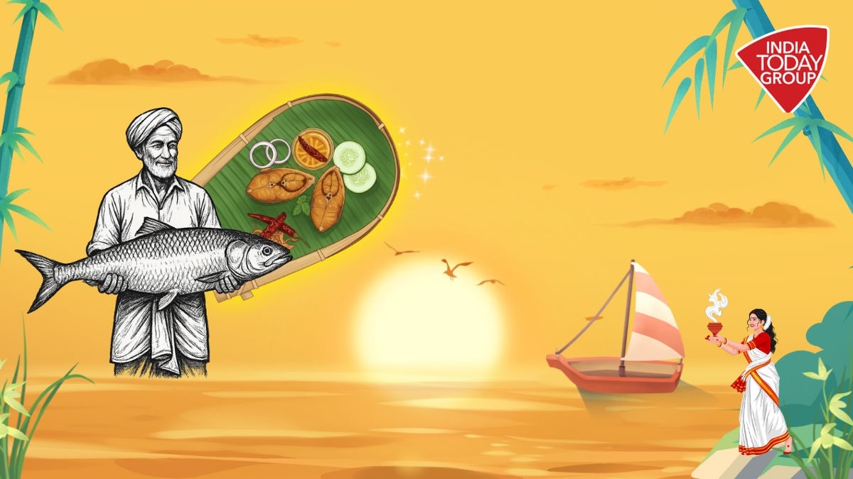 Hilsa fish price