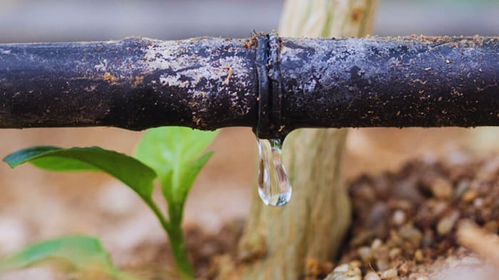 पानी बचाने की सिंचाई विधि