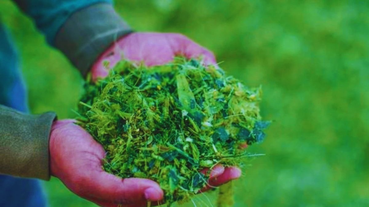 silage making
