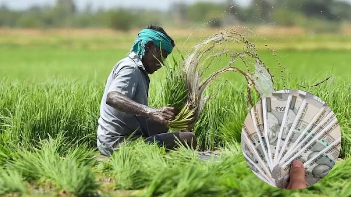फसल नुकसान का मिलेगा मुआवजा