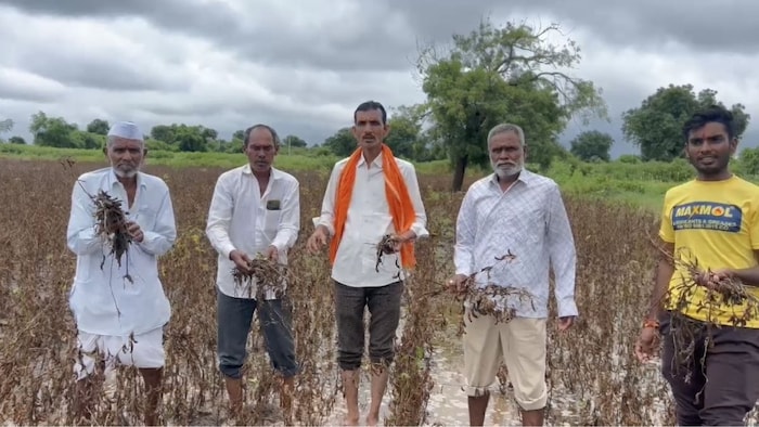 jalna crops