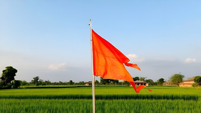 rss flag