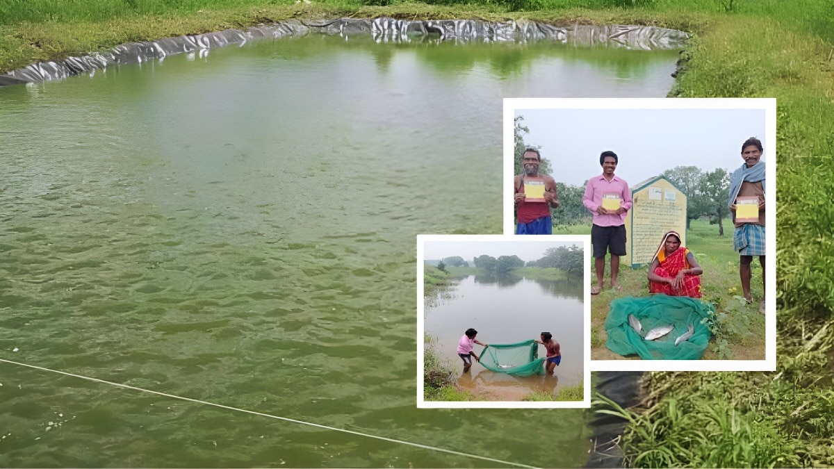 pond
