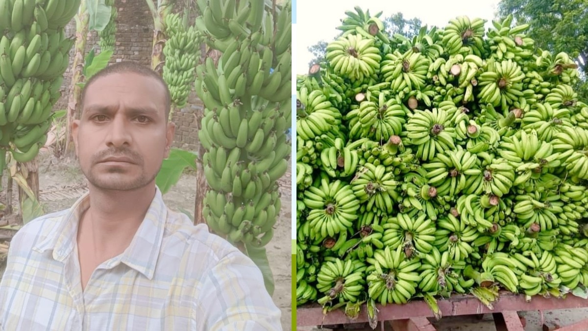 कभी 10 हजार रुपये कमाने वाला शख्स कैसे बन गया करोड़पति? पढ़िए यूपी के सफल किसान दीपू की कहानी