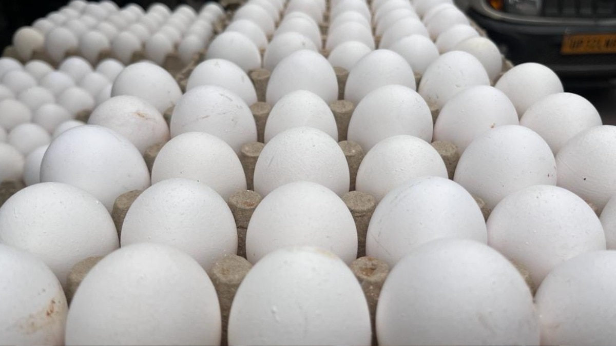 Egg Production: सर्दियां आते ही यूपी में बढ़ने लगती है अंडों की डिमांड, फिर भी उत्पादन में है पीछे 