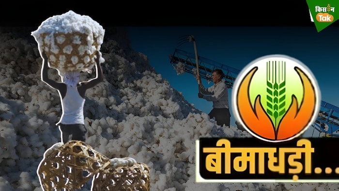 Crop insurence fraud