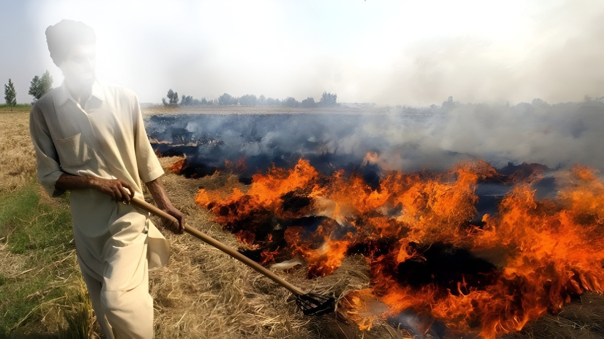 stubble burning