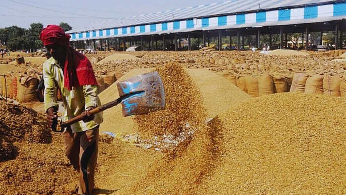 Uttar Pradesh paddy procurement