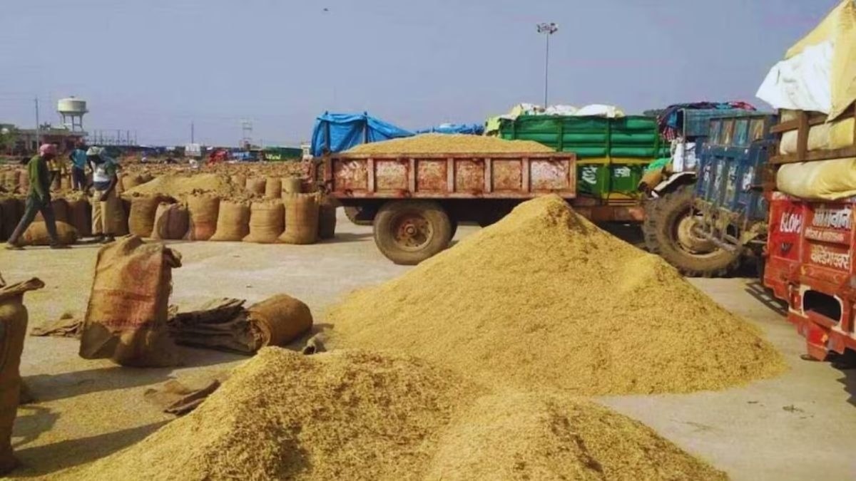 बाजरे की गिरी कीमत