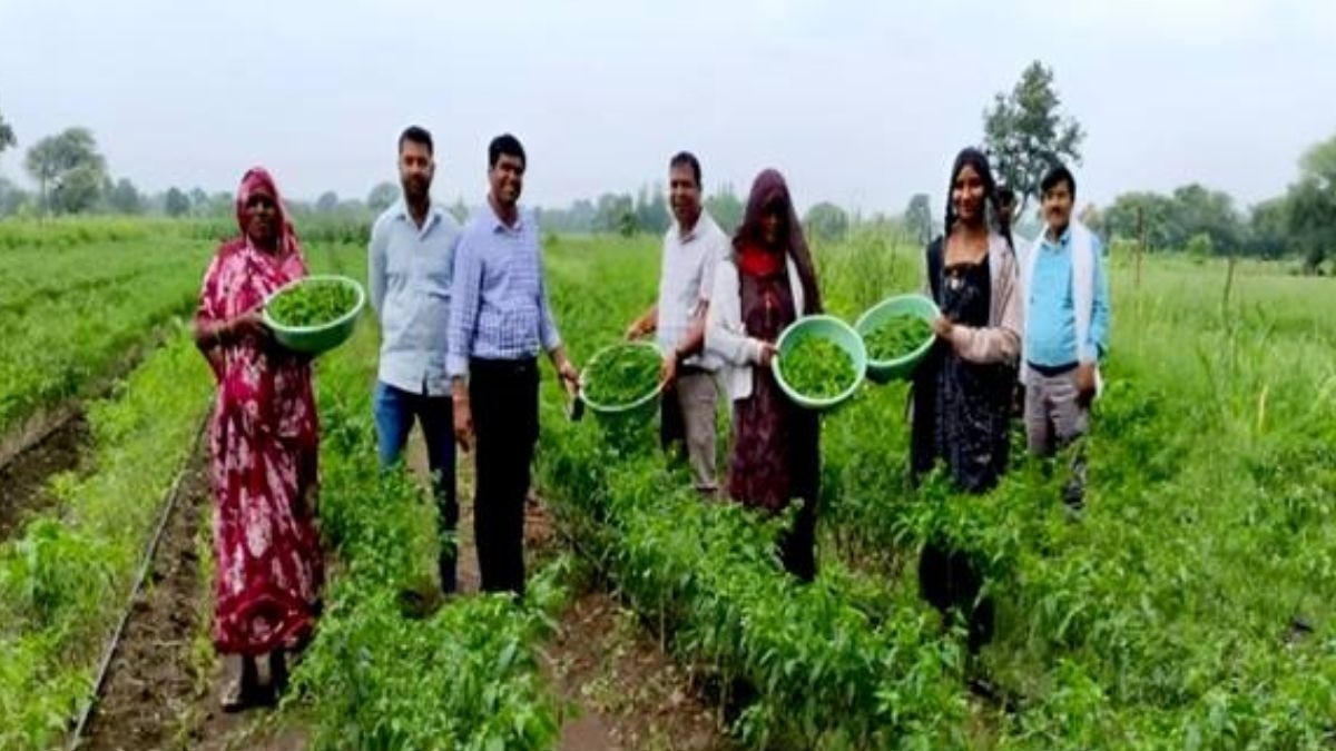 MP में 9 हजार किसानों को वाटरशेड मिशन के तहत मिलेगी सब्सिडी, अभी 3 हजार किसान उठा रहे फायदा, पढ़ें डिटेल