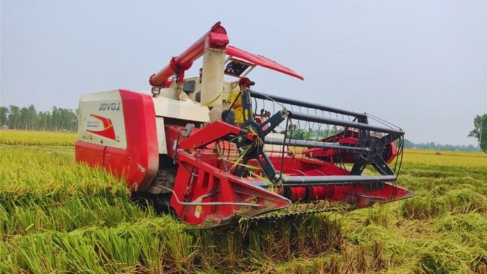 paddy cutting machine