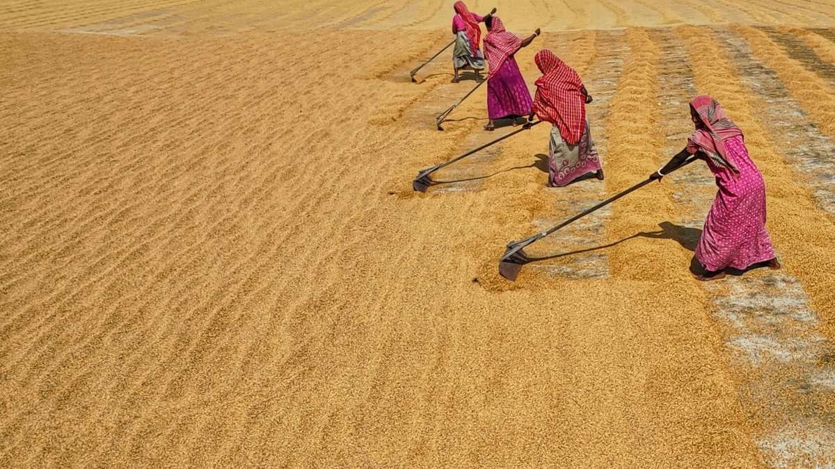 women farmers 