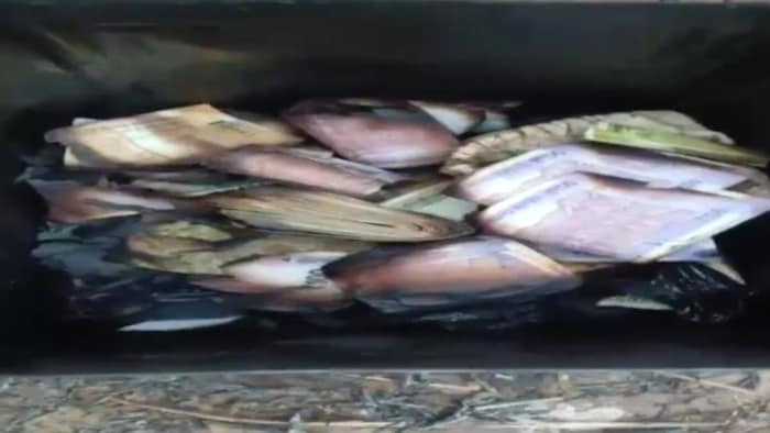 आग में 10 लाख रुपये जलकर राख