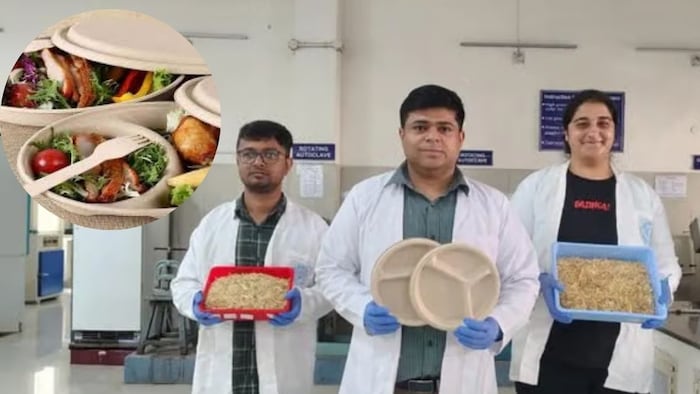 गेहूं के भूसे से बने बर्तन (फोटो: सोशल मीडिया)