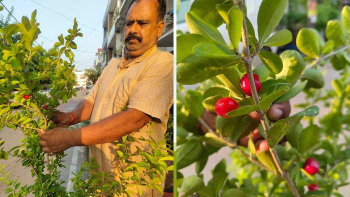 लखनऊ के विनोद कुमार पांडेय (Photo-Social Media)