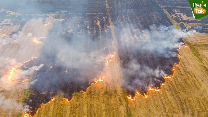 पराली जलाने पर लगी रोक! (Photo Credit-Kisan Tak)