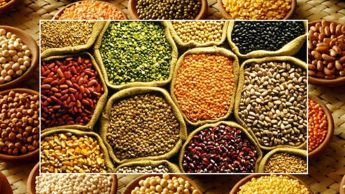 दलहन और तिलहन का इतना बढ़ा उत्पादन