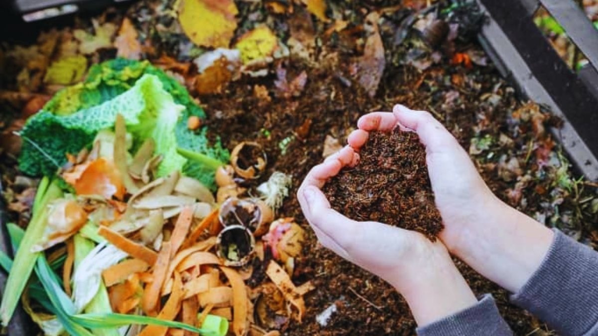 Liquid Compost: पौधों के लिए नैचुरल टॉनिक है लिक्विड कम्‍पोस्‍ट, जानें रसोई के बचे पानी से कैसे बनाएं 