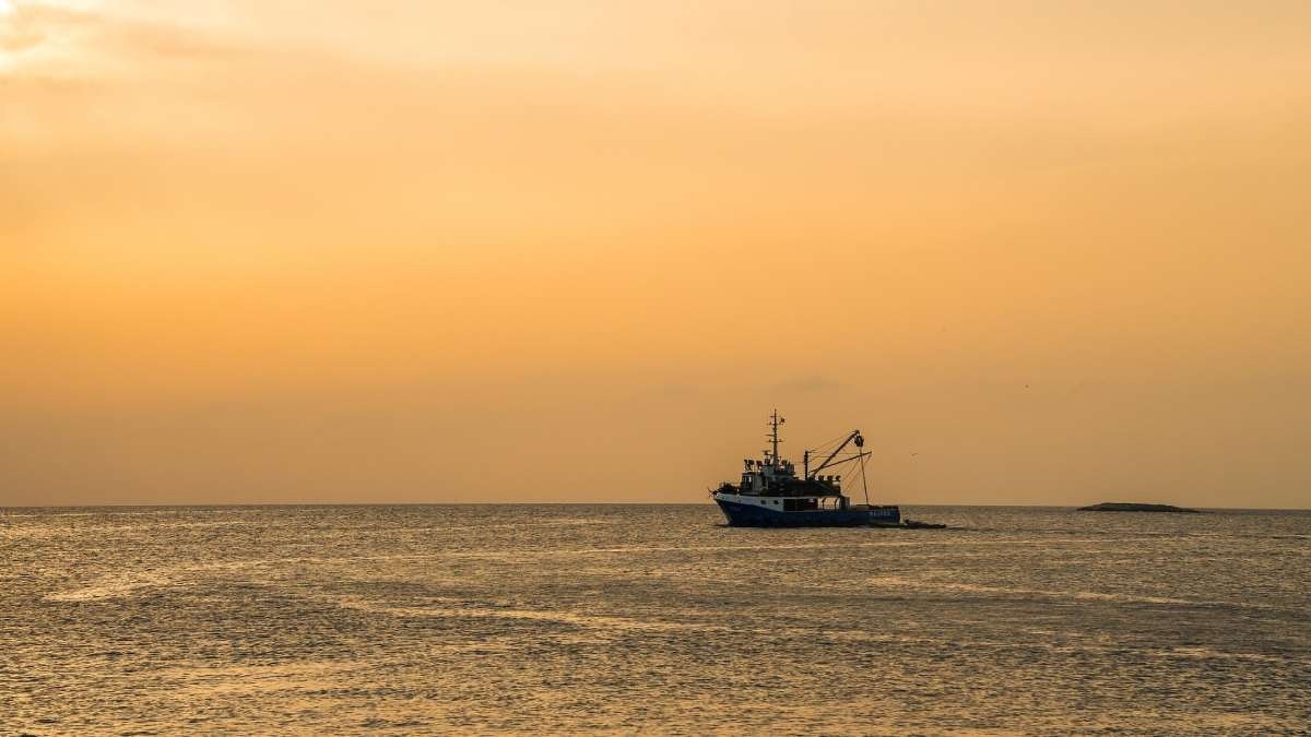 Fisherman India  