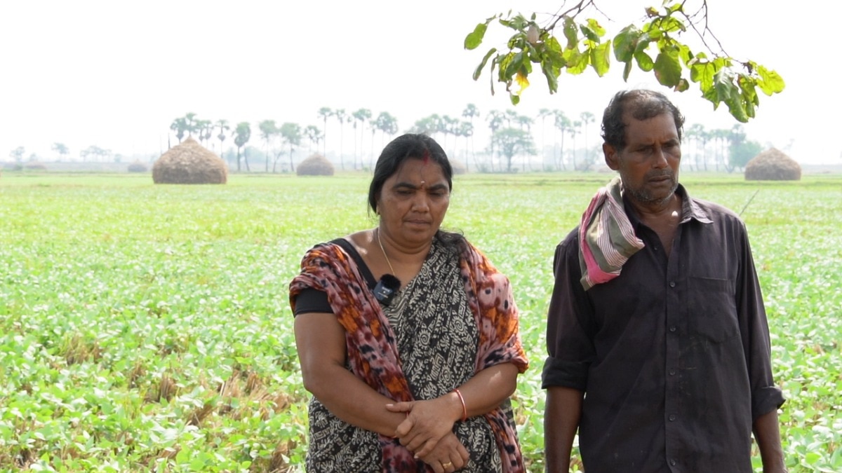 मीराबी लाखों किसानों के लिए बनी मिसाल