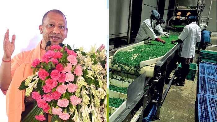 उत्तर प्रदेश के मुख्यमंत्री योगी आदित्यनाथ (फोटो-सोशल मीडिया)