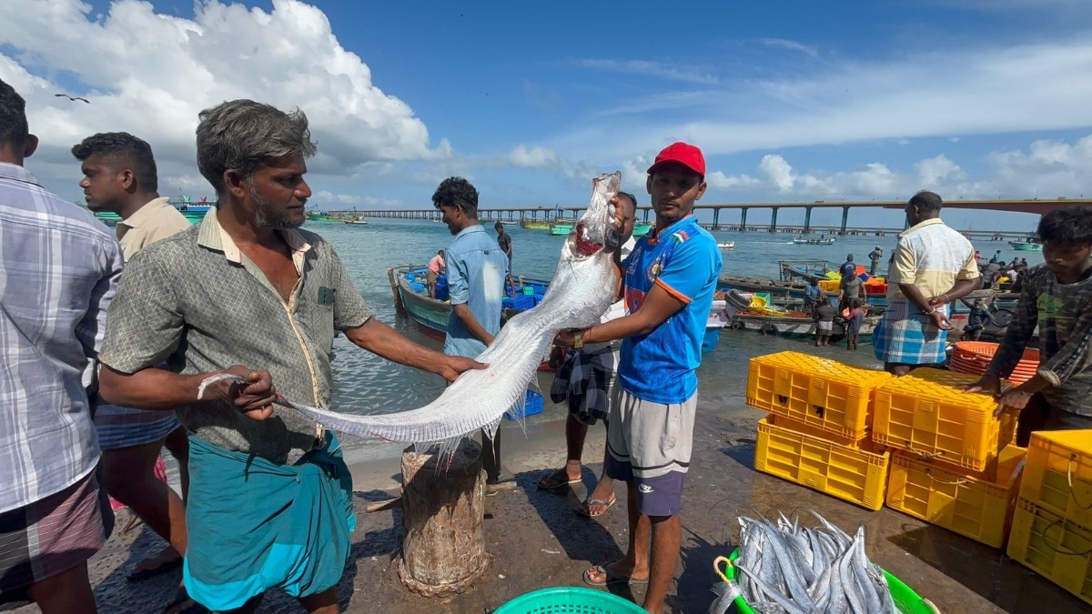 Doomse day fish