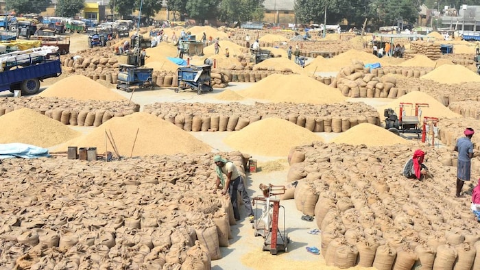 Odisha paddy procurement