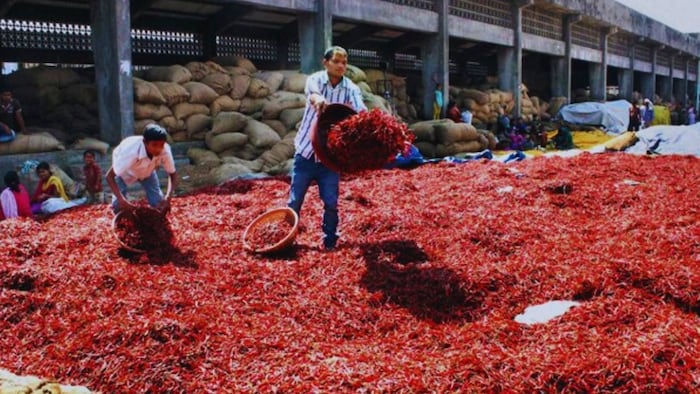 Red Chill Price Hike