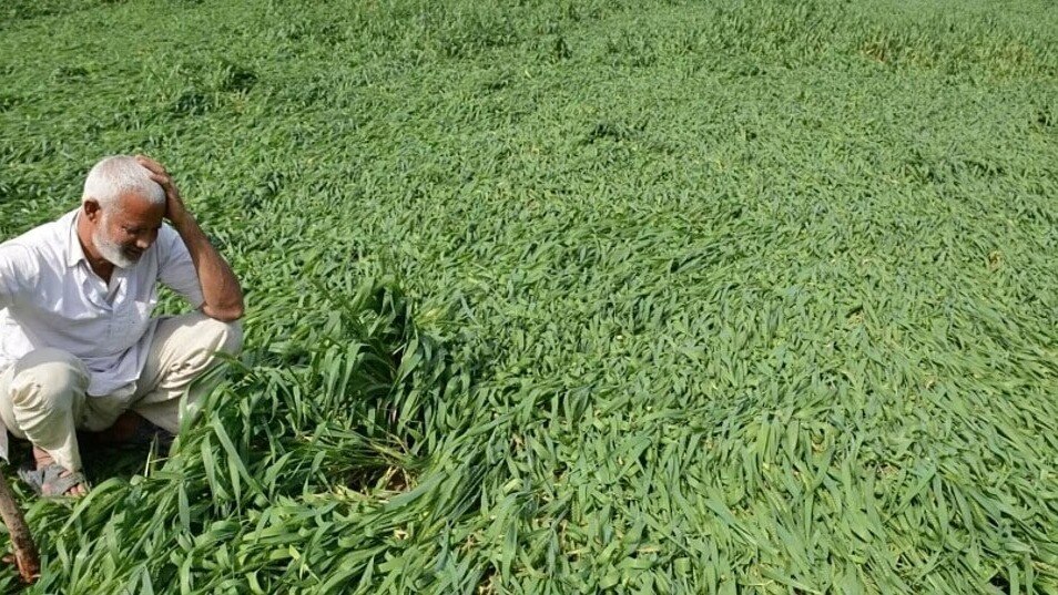 पंजाब के किसानों के डूबे सपने