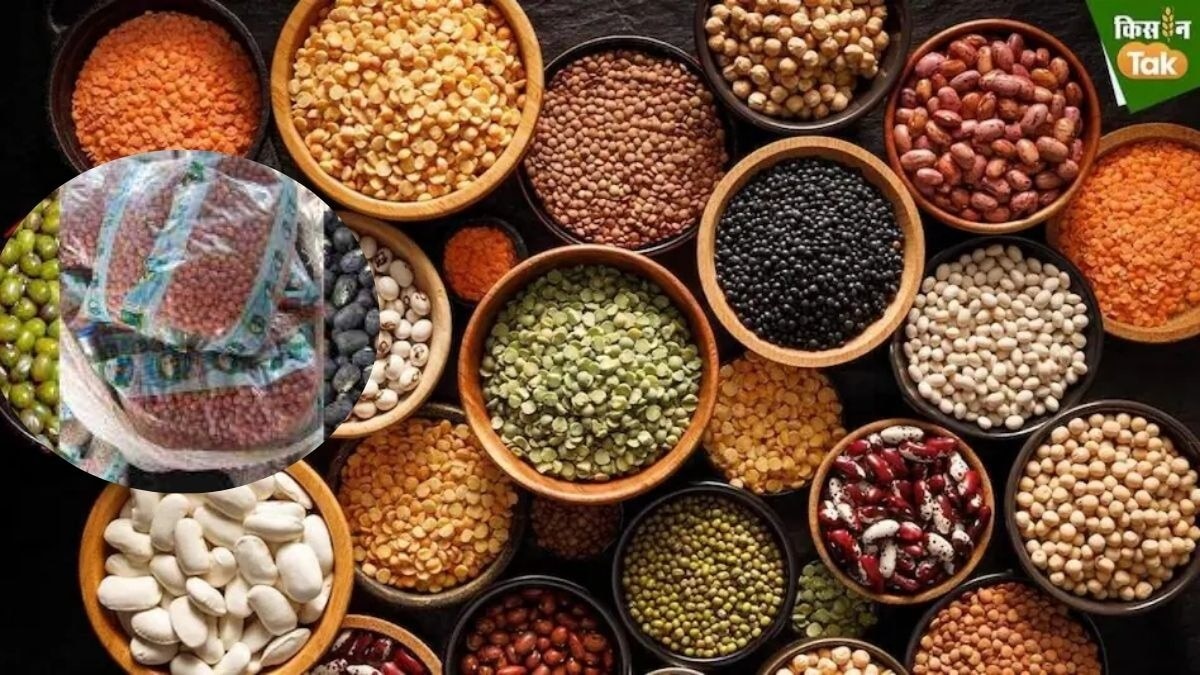 दलहन मिनीकिट