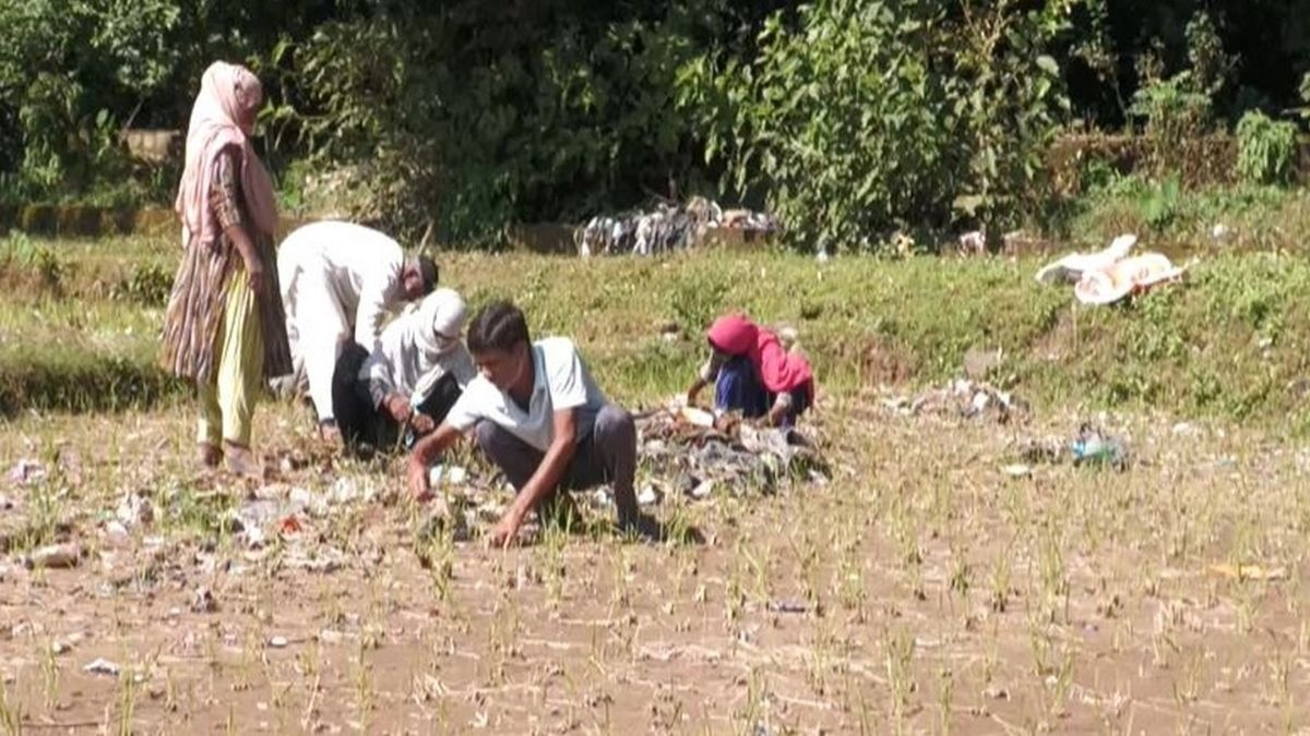 रेलवे नाले में गंदगी से फसलें बर्बाद (Source: ANI)