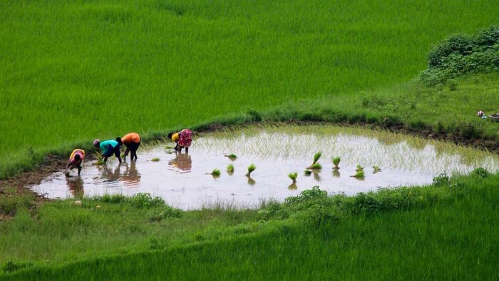 Indian Agriculture Schemes