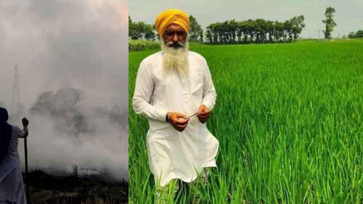 Progressive Farmer 