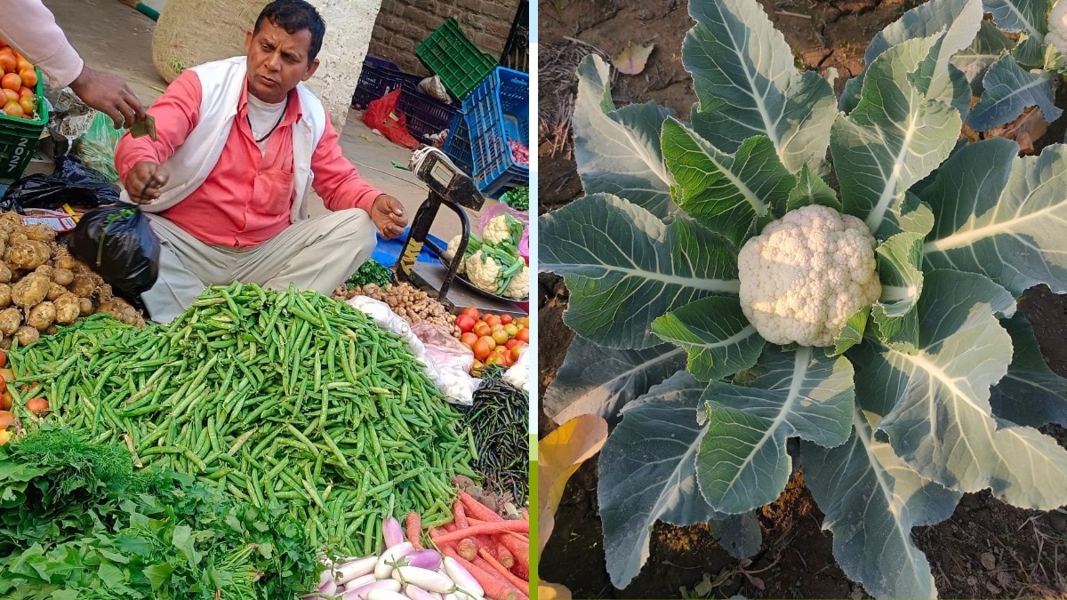 किसानों की आय में होगी वृद्धि (Photo- Social media)