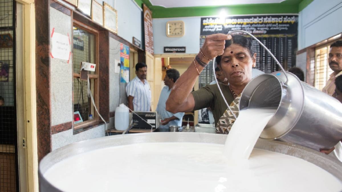 adulterated milk