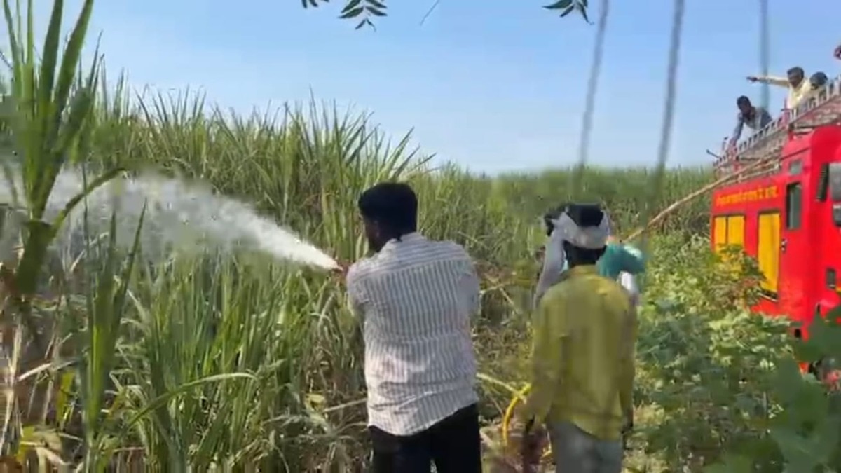 sugarcane crop fire