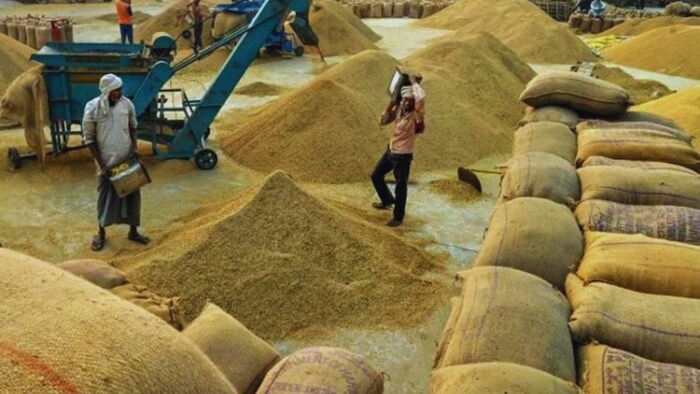 paddy procurement Chhattisgarh