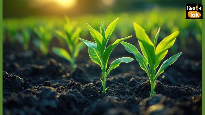 केंद्र सरकार ने राज्यों से बेहतर कृषि डेटा के लिए नई तकनीकी पहल अपनाने का आग्रह किया है.