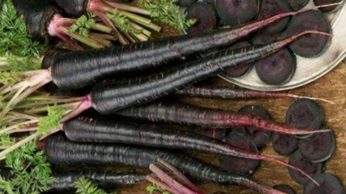 काले गाजर की वैरायटी