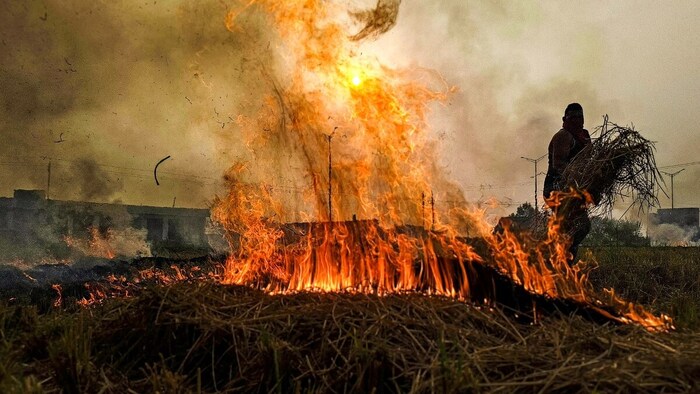 पंजाब में पराली जलाने की घटनाएं बढ़ीं